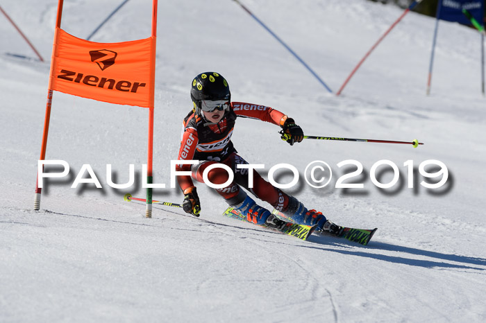 Ziener Cup WF,Finale, Quali + PSL, 30.03.2019