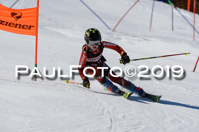Ziener Cup WF,Finale, Quali + PSL, 30.03.2019