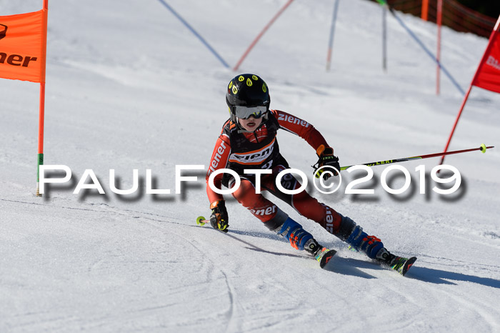 Ziener Cup WF,Finale, Quali + PSL, 30.03.2019