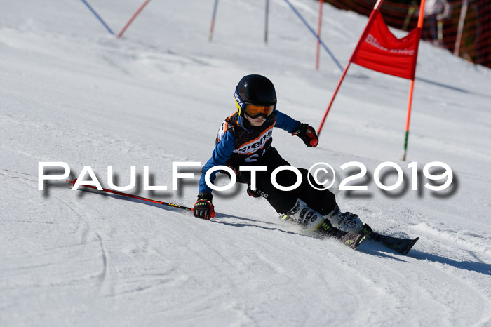 Ziener Cup WF,Finale, Quali + PSL, 30.03.2019