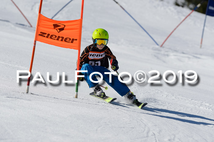 Ziener Cup WF,Finale, Quali + PSL, 30.03.2019