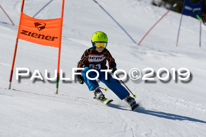 Ziener Cup WF,Finale, Quali + PSL, 30.03.2019