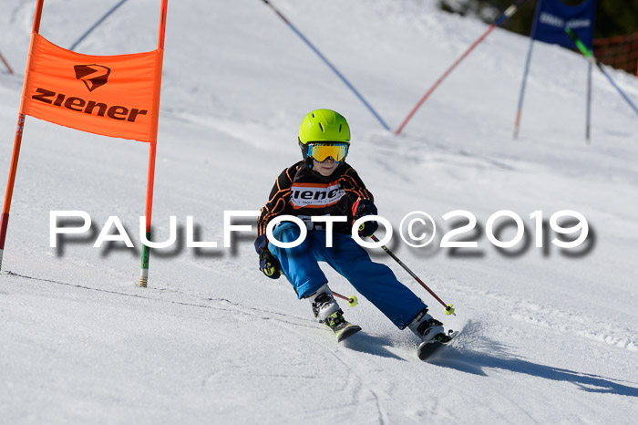 Ziener Cup WF,Finale, Quali + PSL, 30.03.2019