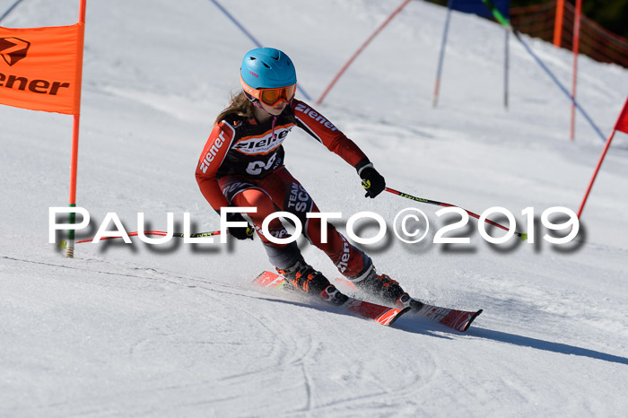 Ziener Cup WF,Finale, Quali + PSL, 30.03.2019