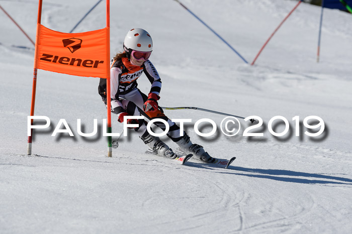 Ziener Cup WF,Finale, Quali + PSL, 30.03.2019