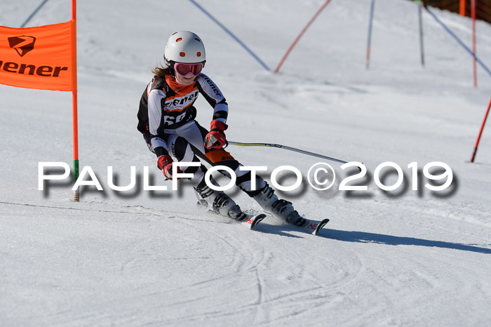 Ziener Cup WF,Finale, Quali + PSL, 30.03.2019