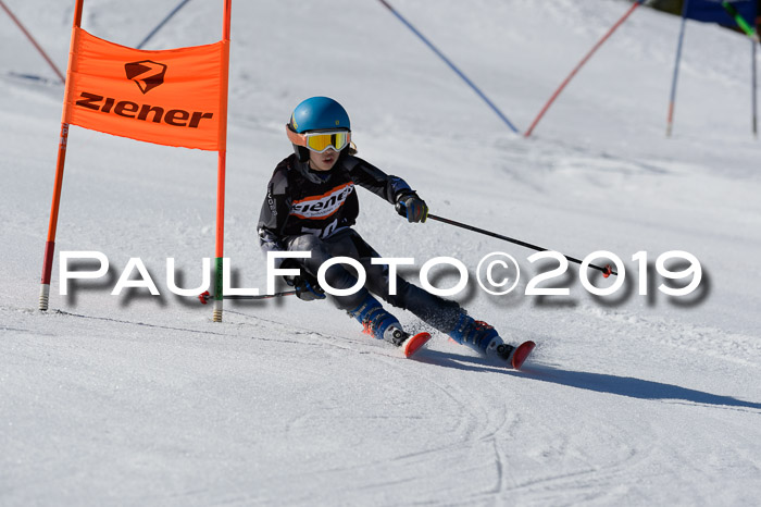 Ziener Cup WF,Finale, Quali + PSL, 30.03.2019