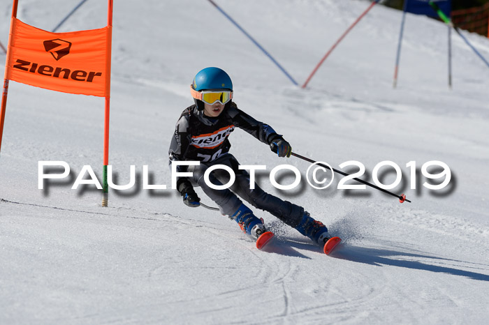 Ziener Cup WF,Finale, Quali + PSL, 30.03.2019