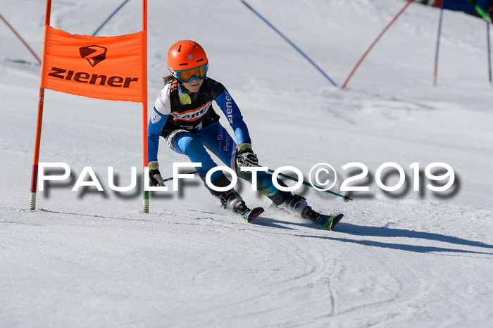 Ziener Cup WF,Finale, Quali + PSL, 30.03.2019