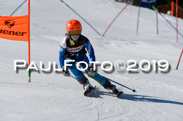 Ziener Cup WF,Finale, Quali + PSL, 30.03.2019