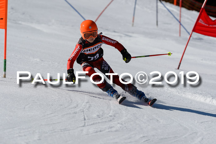 Ziener Cup WF,Finale, Quali + PSL, 30.03.2019