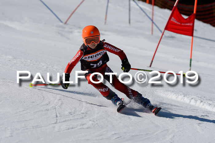 Ziener Cup WF,Finale, Quali + PSL, 30.03.2019