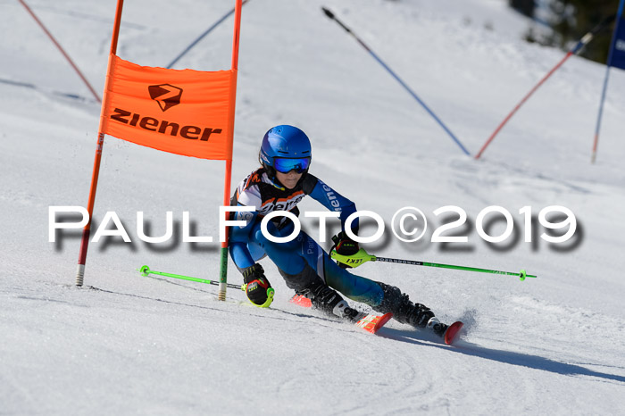 Ziener Cup WF,Finale, Quali + PSL, 30.03.2019