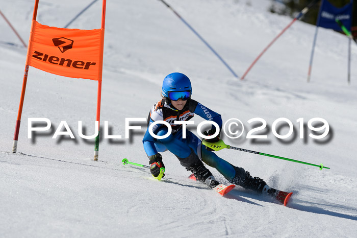 Ziener Cup WF,Finale, Quali + PSL, 30.03.2019