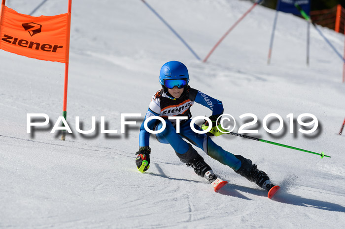 Ziener Cup WF,Finale, Quali + PSL, 30.03.2019