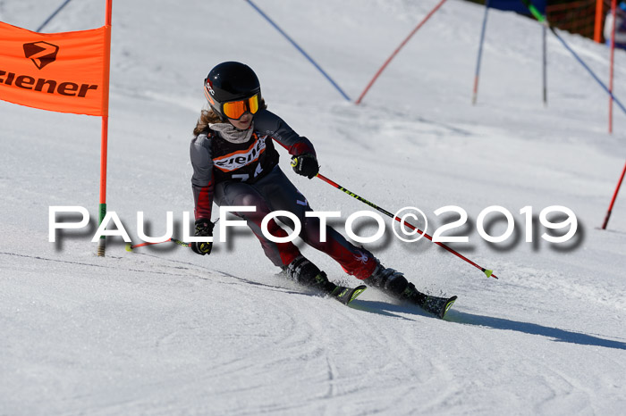 Ziener Cup WF,Finale, Quali + PSL, 30.03.2019