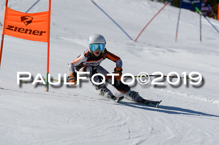 Ziener Cup WF,Finale, Quali + PSL, 30.03.2019
