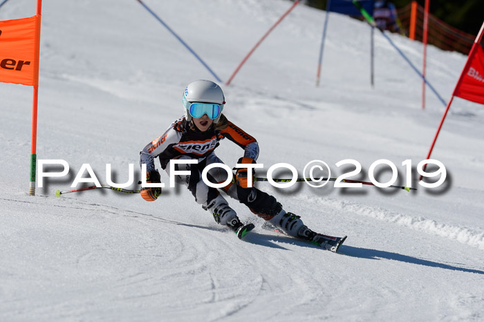 Ziener Cup WF,Finale, Quali + PSL, 30.03.2019