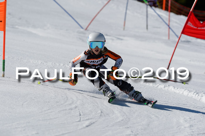 Ziener Cup WF,Finale, Quali + PSL, 30.03.2019