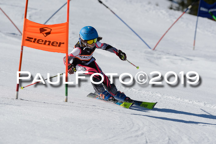 Ziener Cup WF,Finale, Quali + PSL, 30.03.2019