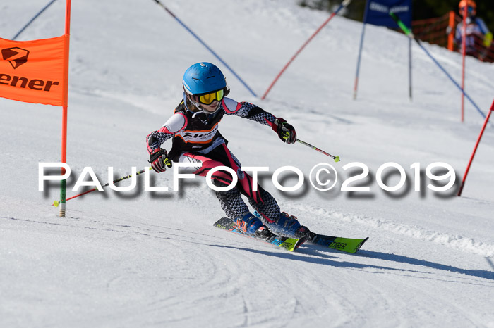 Ziener Cup WF,Finale, Quali + PSL, 30.03.2019