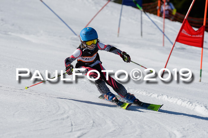 Ziener Cup WF,Finale, Quali + PSL, 30.03.2019