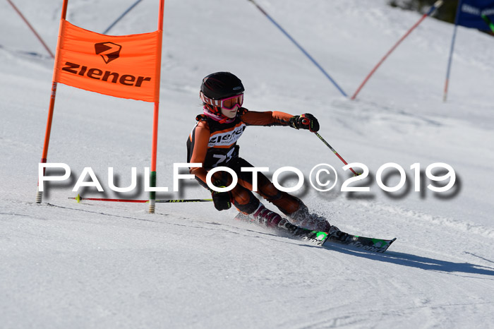 Ziener Cup WF,Finale, Quali + PSL, 30.03.2019