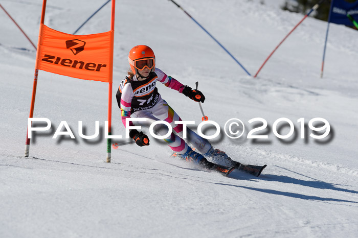 Ziener Cup WF,Finale, Quali + PSL, 30.03.2019