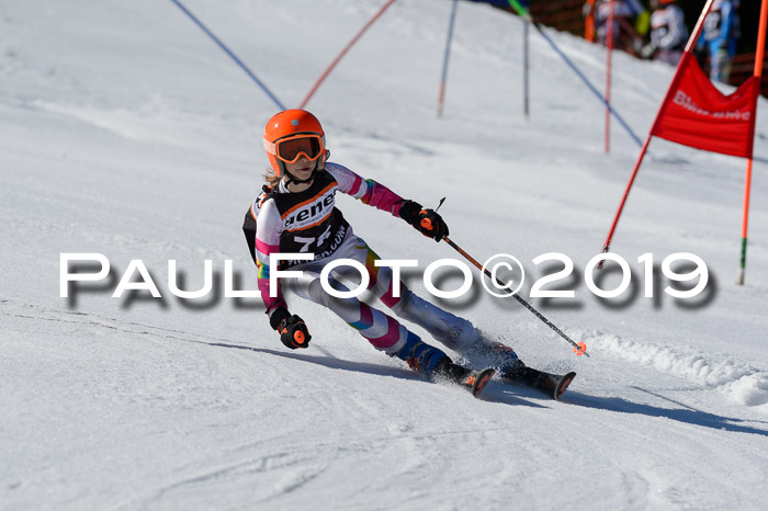 Ziener Cup WF,Finale, Quali + PSL, 30.03.2019