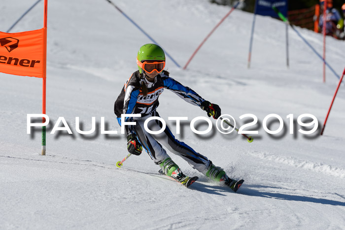 Ziener Cup WF,Finale, Quali + PSL, 30.03.2019