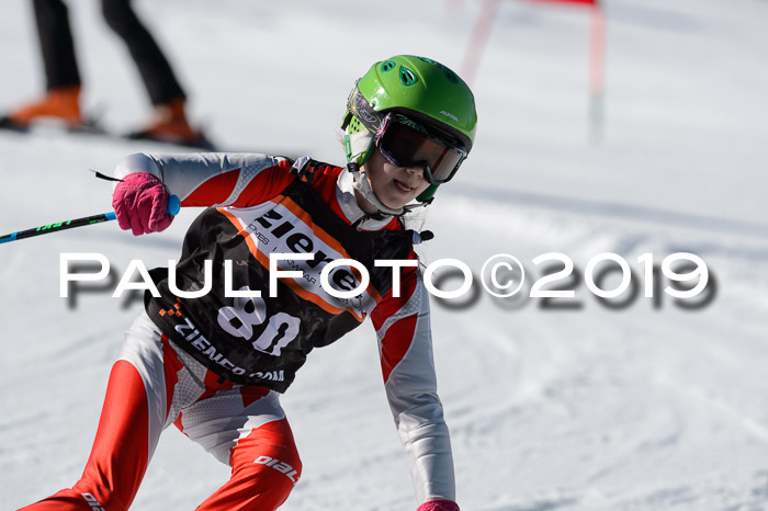 Ziener Cup WF,Finale, Quali + PSL, 30.03.2019