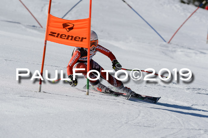 Ziener Cup WF,Finale, Quali + PSL, 30.03.2019