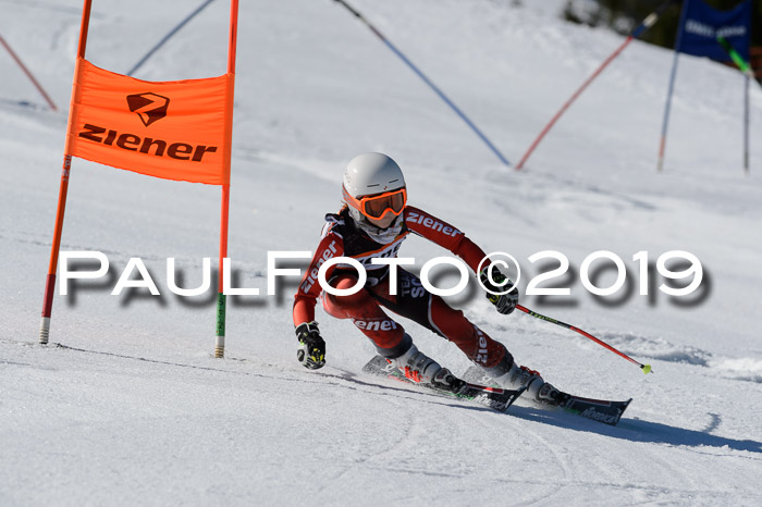 Ziener Cup WF,Finale, Quali + PSL, 30.03.2019