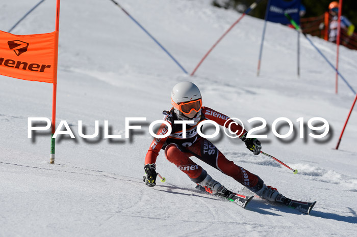 Ziener Cup WF,Finale, Quali + PSL, 30.03.2019