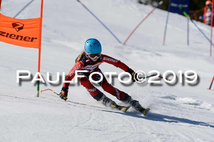 Ziener Cup WF,Finale, Quali + PSL, 30.03.2019