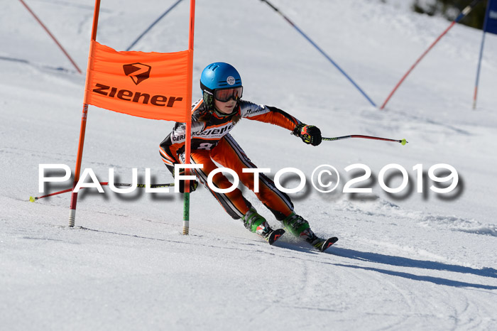 Ziener Cup WF,Finale, Quali + PSL, 30.03.2019