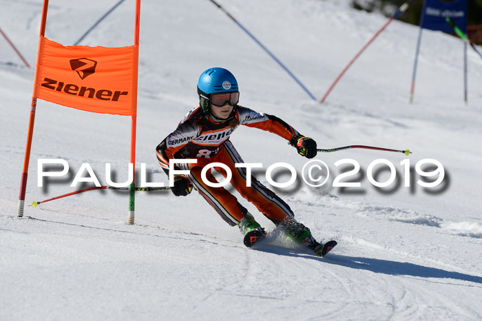 Ziener Cup WF,Finale, Quali + PSL, 30.03.2019