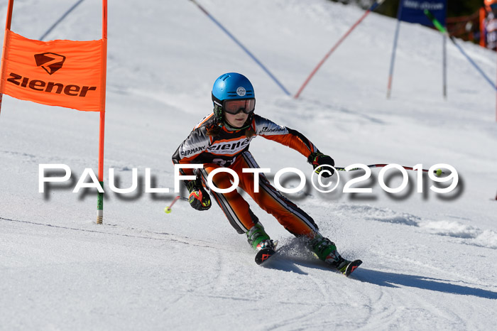 Ziener Cup WF,Finale, Quali + PSL, 30.03.2019