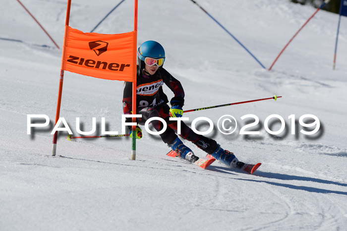 Ziener Cup WF,Finale, Quali + PSL, 30.03.2019