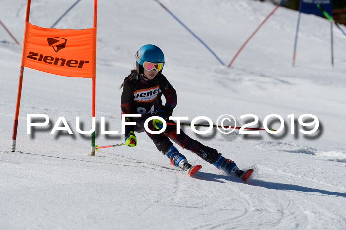 Ziener Cup WF,Finale, Quali + PSL, 30.03.2019