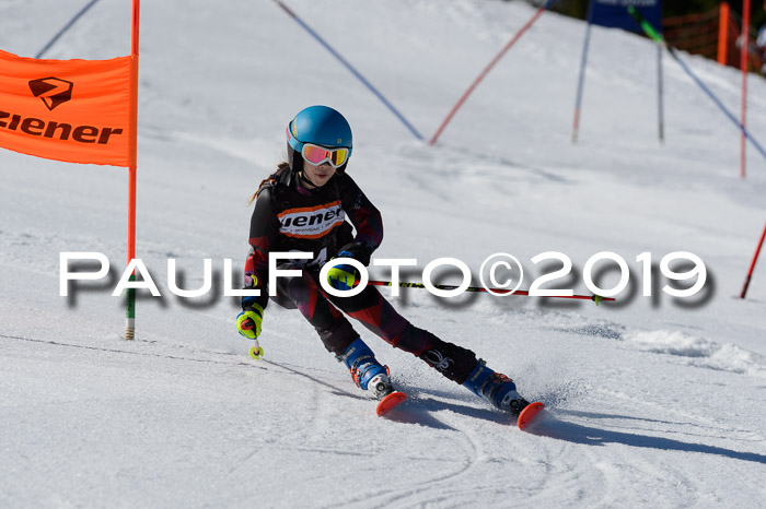 Ziener Cup WF,Finale, Quali + PSL, 30.03.2019