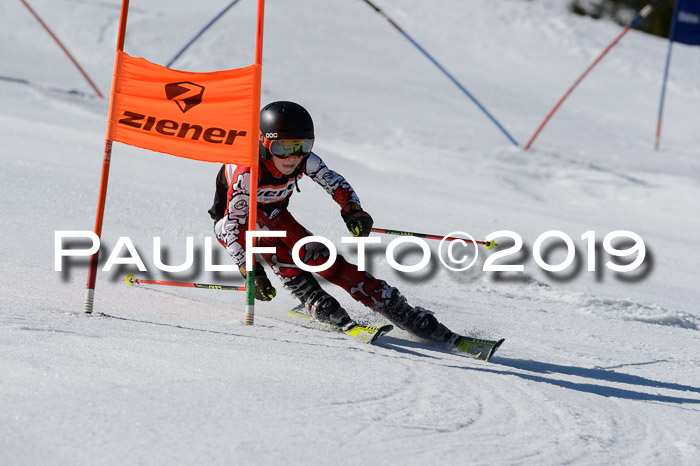 Ziener Cup WF,Finale, Quali + PSL, 30.03.2019