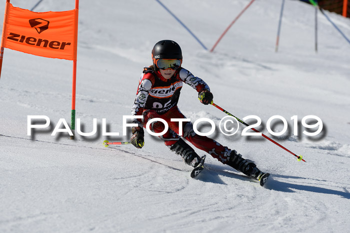 Ziener Cup WF,Finale, Quali + PSL, 30.03.2019