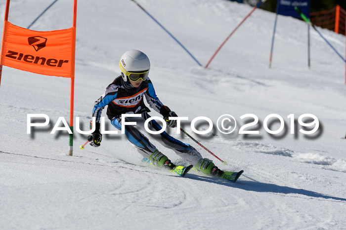 Ziener Cup WF,Finale, Quali + PSL, 30.03.2019