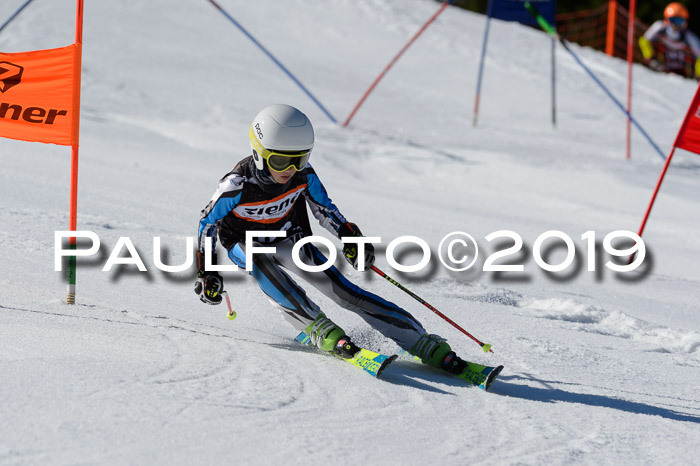 Ziener Cup WF,Finale, Quali + PSL, 30.03.2019