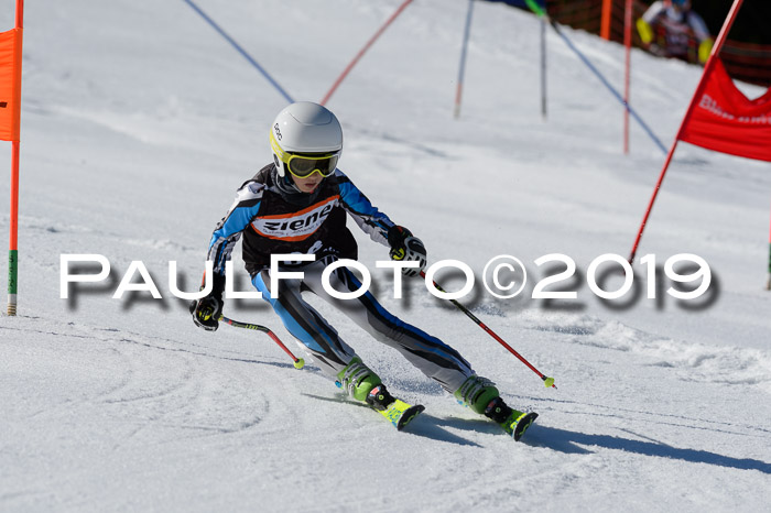 Ziener Cup WF,Finale, Quali + PSL, 30.03.2019