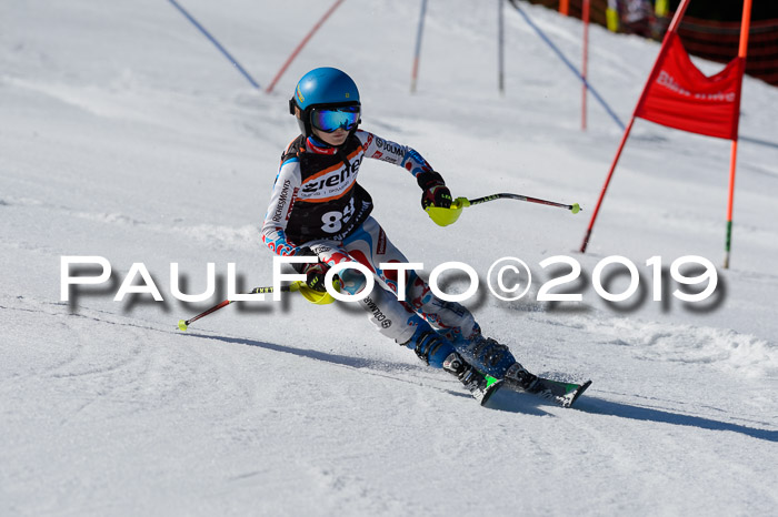 Ziener Cup WF,Finale, Quali + PSL, 30.03.2019