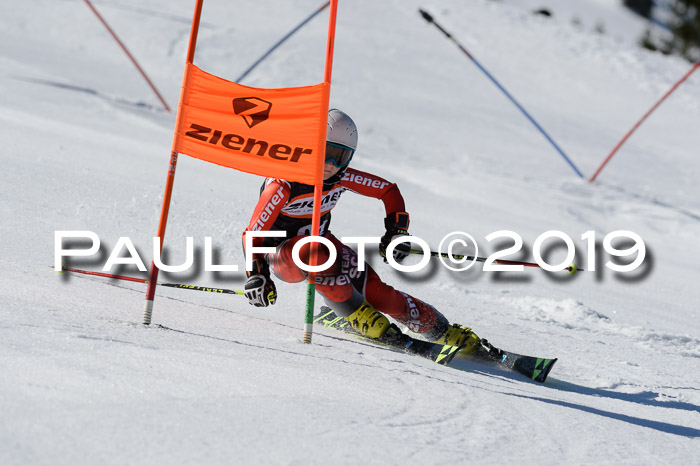 Ziener Cup WF,Finale, Quali + PSL, 30.03.2019