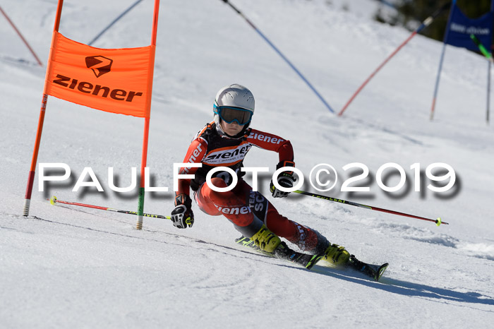 Ziener Cup WF,Finale, Quali + PSL, 30.03.2019