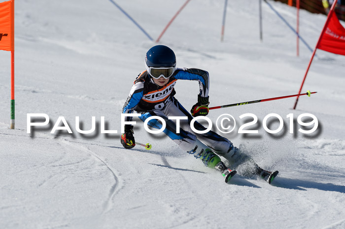 Ziener Cup WF,Finale, Quali + PSL, 30.03.2019